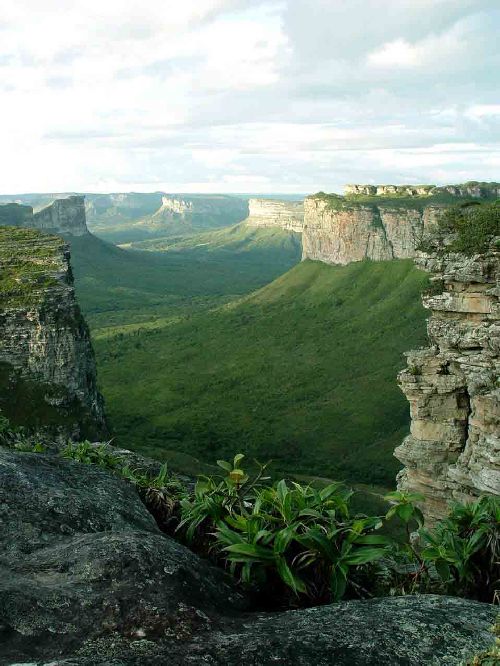 Chapada diamantina 8